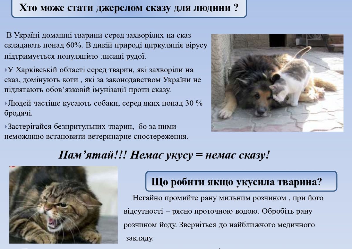 Сказ