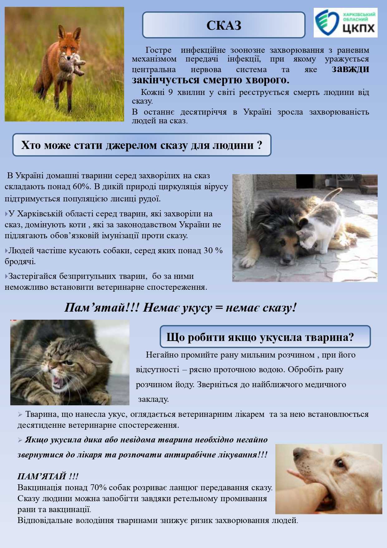 Сказ