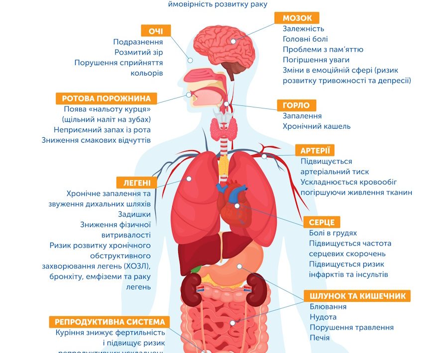 Що відбувається з організмом, коли ви курите